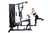 Estação de Musculação com Leg Press FT 13000 - comprar online