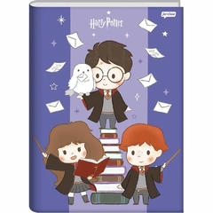 Caderno Linguagem Brochura 80 Folhas Harry Potter Capa Dura Jandaia na internet