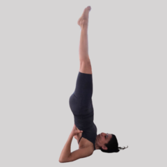 Enterito corto de algodón con lycra para Yoga corto, Acrobacia, Telas aéreas, Danza aérea - comprar online