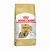 Aconchego_Royal_Canin_Cães_Adultos_da_Raça_Shih_Tzu_2,5kg_040223