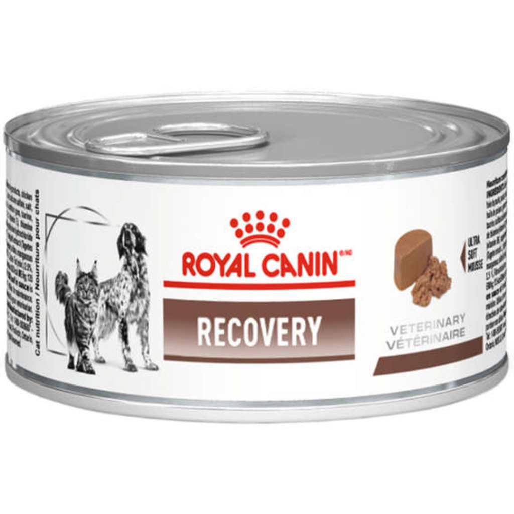 Recovery Royal Canin Ração Úmida Cães E Gatos 195g - 2 Latas