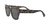 Ray Ban 2186 State Street | Animal Print - Gris - 52 en internet