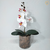 Arranjo Orquídea 1 haste (planta artificial) + Vaso vidro cilíndrico - comprar online