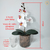 Arranjo Orquídea 1 haste (planta artificial) + Vaso vidro cilíndrico - Estufa Urbana