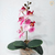 Imagem do Arranjo Orquídea 1 haste (planta artificial) + Vaso vidro cilíndrico