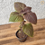 Muda de Shiso Roxo (Perilla frutescens) - Cultivo orgânico