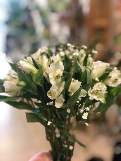 Ramo de Novia con Astromelias - DEL PASEO PLANTAS