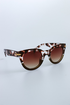 Óculos de Sol Malibu | 1-224870 ✧ na internet