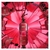 Imagem do So Scandal Jean Paul Gaultier - Perfume Feminino - Eau de Parfum