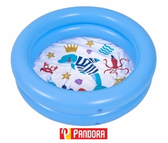 PILETA INFLABLE BEBE 76X20CM COD:57157 (6920388662093)