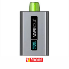 VAPESOUL V-120 LCD 5% - APPLE ICE (6972859015006)