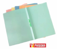 CARPETA OFICIO CON NEPACO PLASTICO VELOX F40 TANDIL (7798164961437)