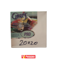 BASTIDOR GINES PRO 20X20 (8712079092740)