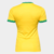 Brasil – Seleção – Seleção Brasileira – 1958 – 1962 – 1970 – 1994 – 2002 – Canarinho – Canarinha – Canarinho Pistola – Verde e amarela – Verde e amarelo – Penta – Pelé – Neymar – Garrincha – Romario – Ronaldo – Ronaldinho – Zico – Maracanã – Catar 2022 – 