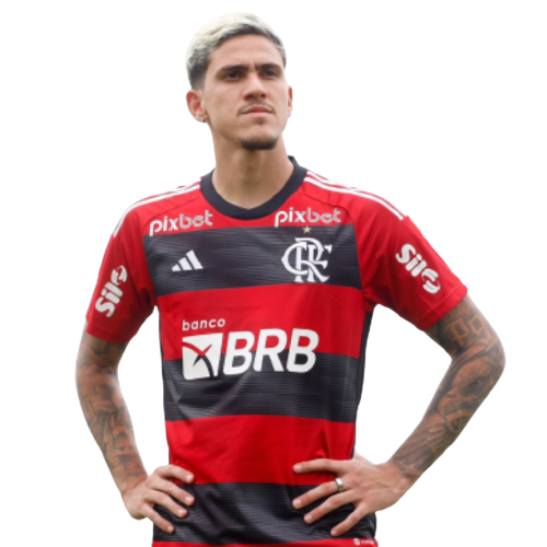 Vetor Camisa Flamengo Pré-jogo 2023-2024