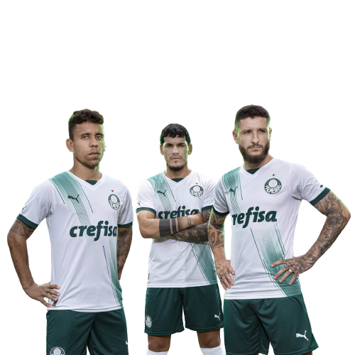 Camisa do Palmeiras II 2023 Campeão Brasileiro 2022 Puma - Masculina em  Promoção