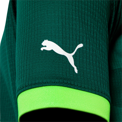 Camisa Palmeiras 2023/24 I Verde Puma
