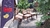 6 Cadeiras em Jacarandá e Palinha - Quase Tudo Móveis