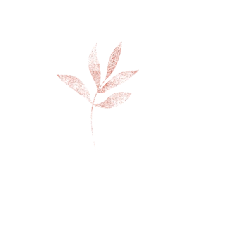 Laizar Cosméticos