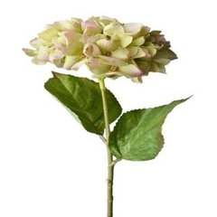 Hortensia verde 70cm