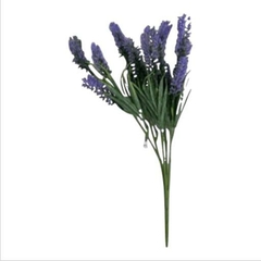 LAVANDA