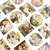 Caixinha de Adesivos Classic Cats - comprar online
