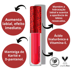 Imagem do Gloss Labial de Aumento de Volume Lipchilli FRAN by FRANCINY EHLKE 4,5 g