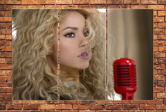 Cuadro Triptico Cantante Shakira Sexy Latina Pop #2