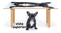 Vinilo Para Mesa Perro Mascota Animal Razas #5