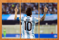 Cuadro Triptico Messi La Pulga Futbol #1