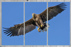 Cuadro Triptico Aves Pajaros Plumas Cielo #2