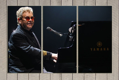 Cuadro Triptico Cantantes Elton John #2