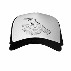 Gorra Colibri Volando Dibujo Lapiz - comprar online