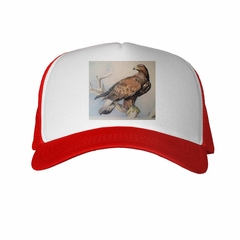 Gorra Aguila Real Sobre Rama Dibujo en internet