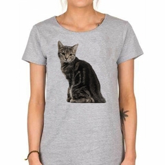 Remera Gato Europeo Sentado en internet