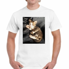 Remera Gato Europeo Bebe Tomando Sol en internet