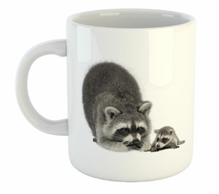 Taza Mapache Raccoon Animal Salvaje