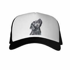 Gorra Perro Labrador Chocolate Pintura - comprar online