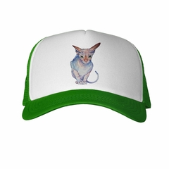 Gorra Gato Sphynx Dibujo Pintura Art - TiendaCubik