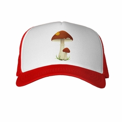 Gorra Background Mushrooms Hongo en internet