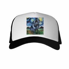 Gorra Pug Noche Estrellada - comprar online