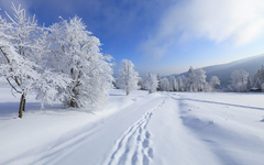 Cuadro Nieve Paisaje Nevado Naturaleza #6