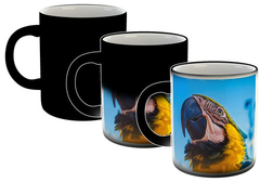 Taza Guacamayo Loro Ara Aves Plumas Selva #13