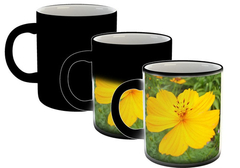 Taza Flores Colores Naturaleza Plantas Paisaje #7 - comprar online