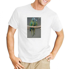 Remera Loro Guacamayo Aves Colores Selva Naturaleza #9