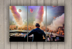 Cuadro Triptico Dj Tiesto Electronica #3