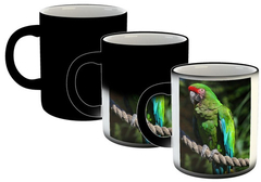 Taza Guacamayo Loro Ara Aves Plumas Selva #17