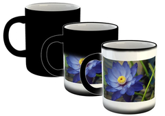 Taza Flores Colores Naturaleza Plantas Paisaje #24 - comprar online