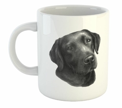 Taza Perro Labrador Pintura Art