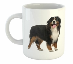 Taza Boyero De Berna Sacando Lengua